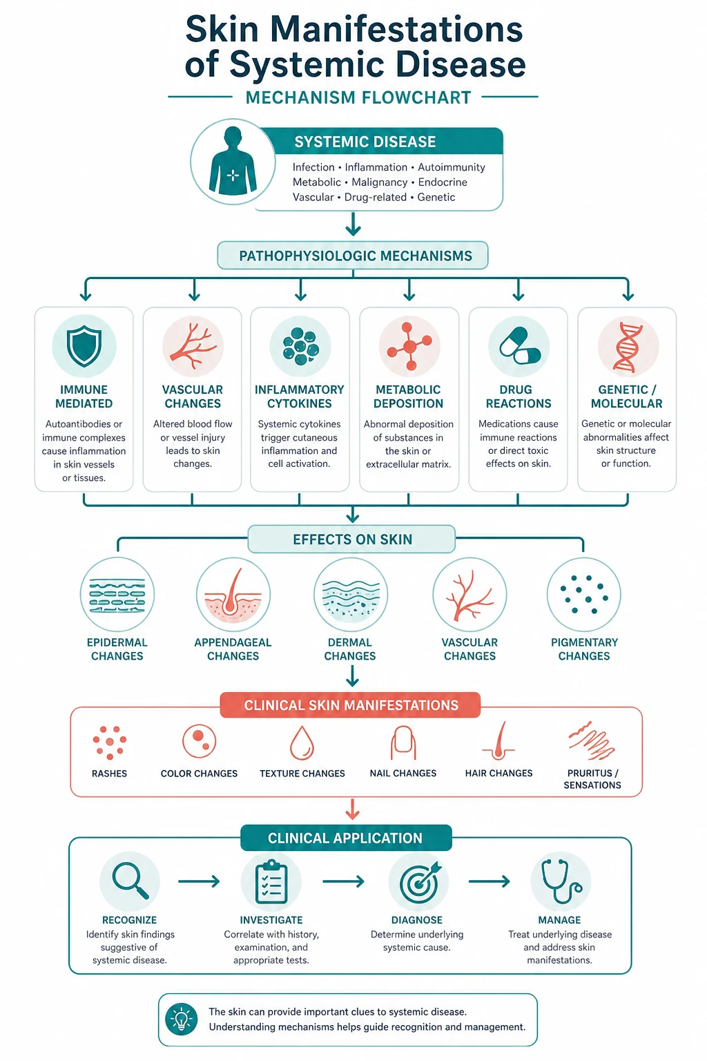Pathophysiology of examination skin manifestations systemic disease