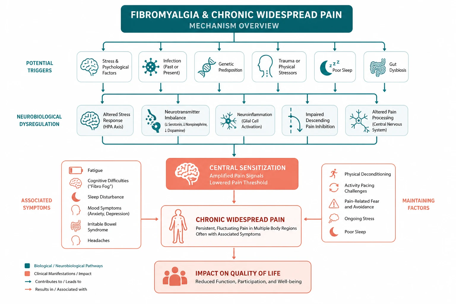 Pathophysiology of fibromyalgia and chronic widespread pain