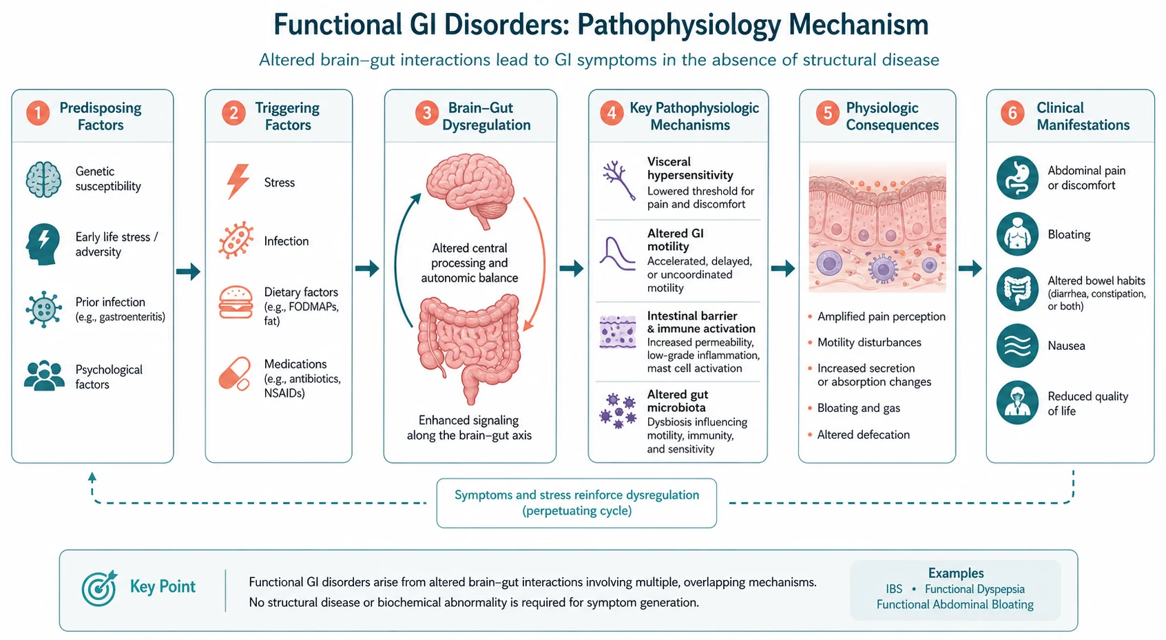 Pathophysiology mechanism diagram for Functional GI Disorders.