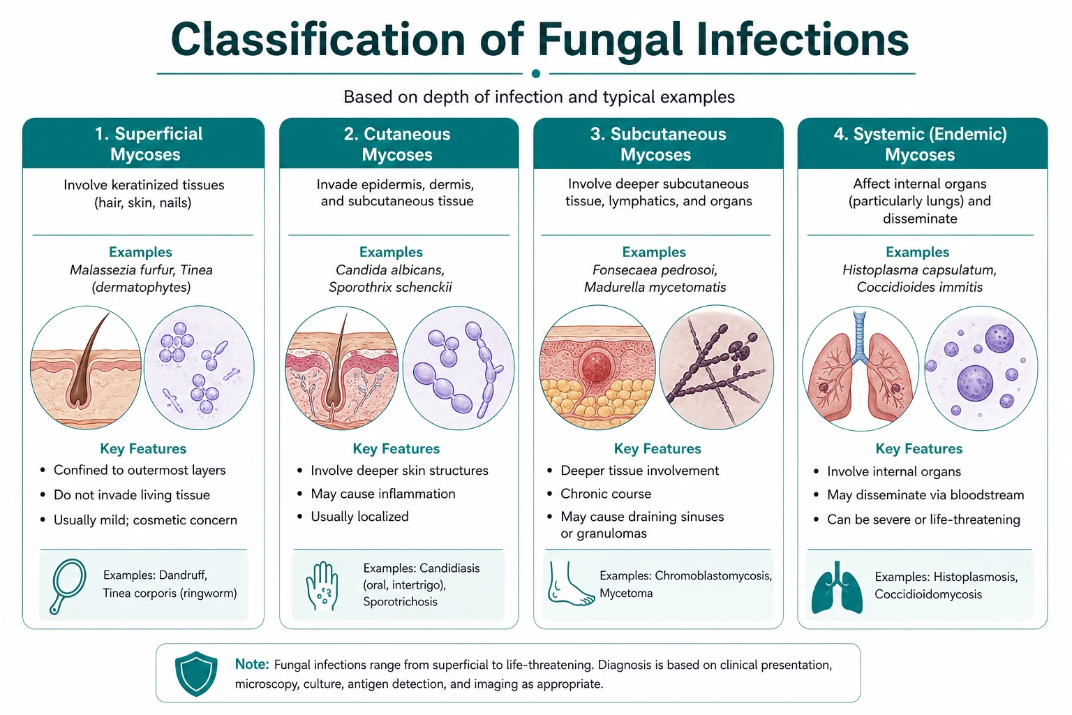 Classification of fungal infections