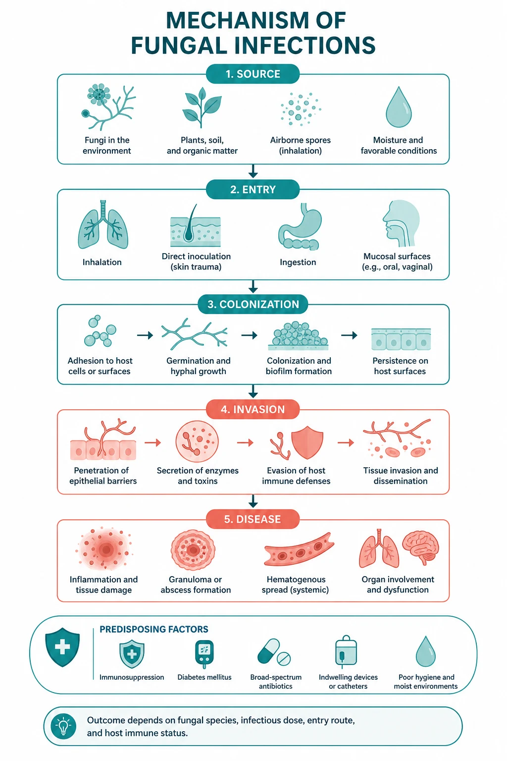 Pathophysiology of fungal infections