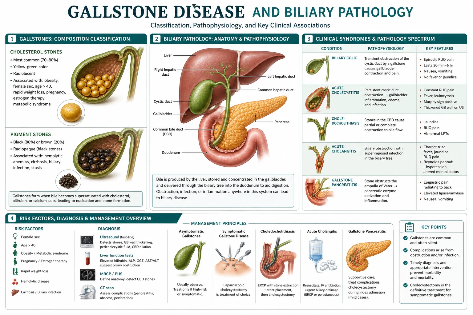 Classification diagram for Gallstone Disease AND Biliary Pathology.