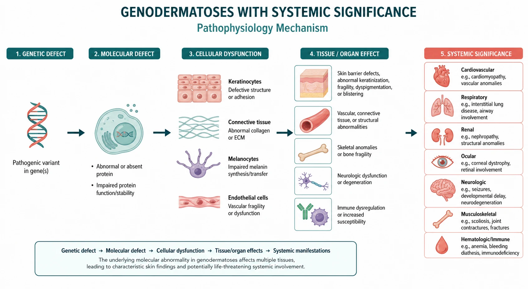 Pathophysiology mechanism diagram for Genodermatoses with Systemic Significance.
