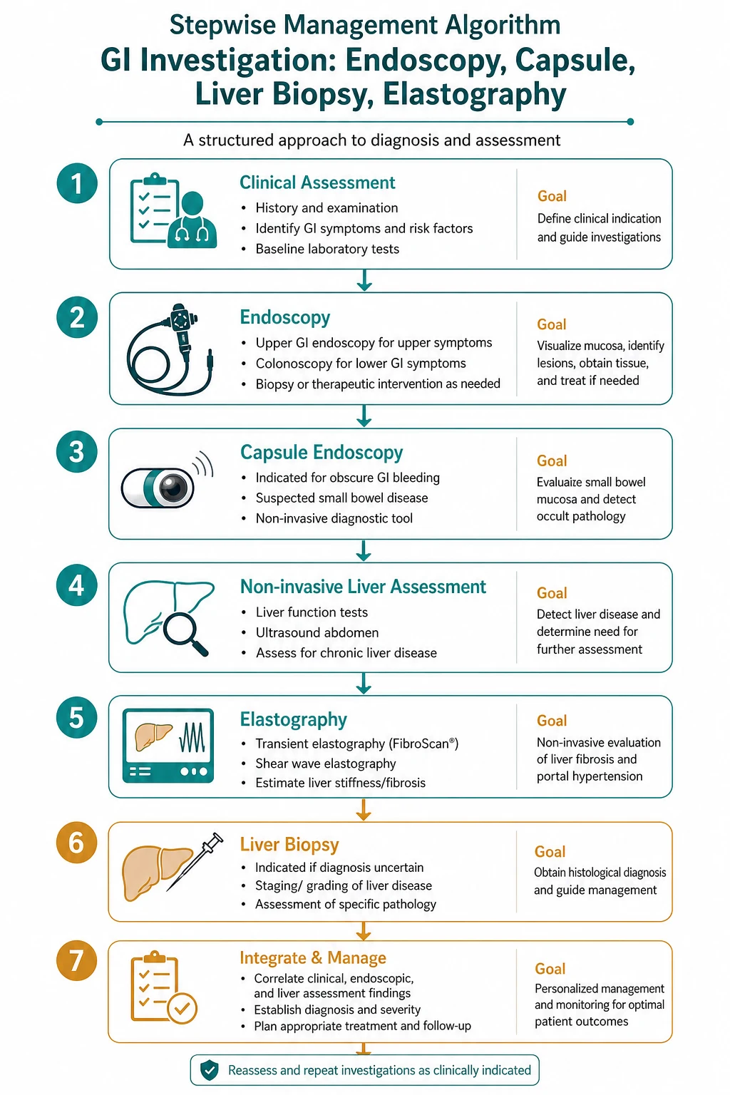 Stepwise management algorithm for GI Investigation Endoscopy Capsule Liver Biopsy Elastography.
