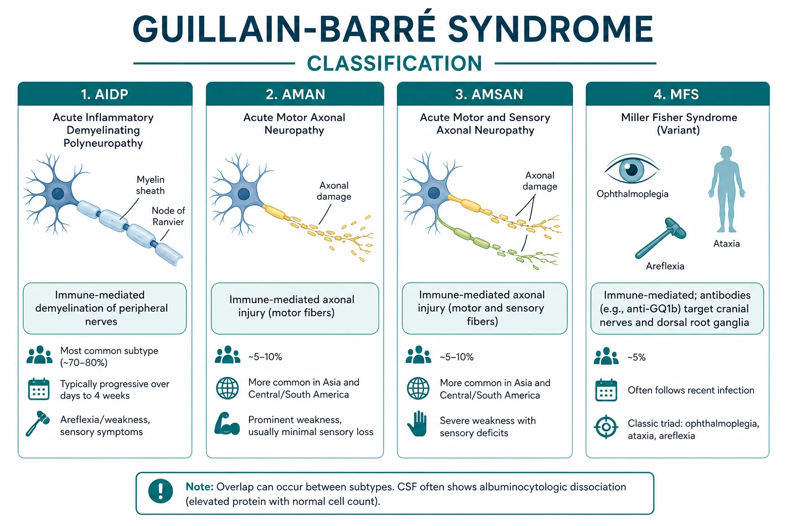 Classification for guillain barre syndrome