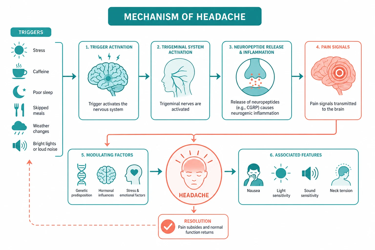 Pathophysiology for headache