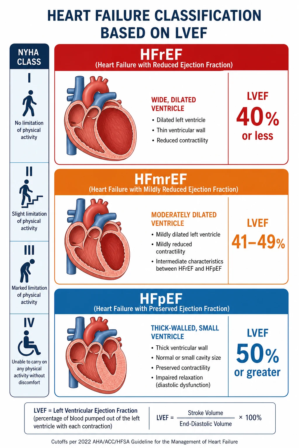 Heart failure classification by ejection fraction: HFrEF, HFmrEF, HFpEF