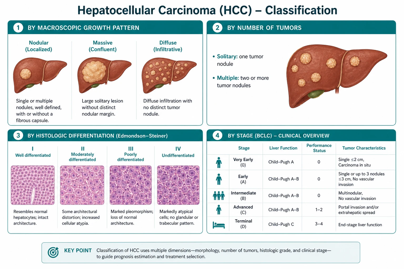 Classification for hepatocellular carcinoma