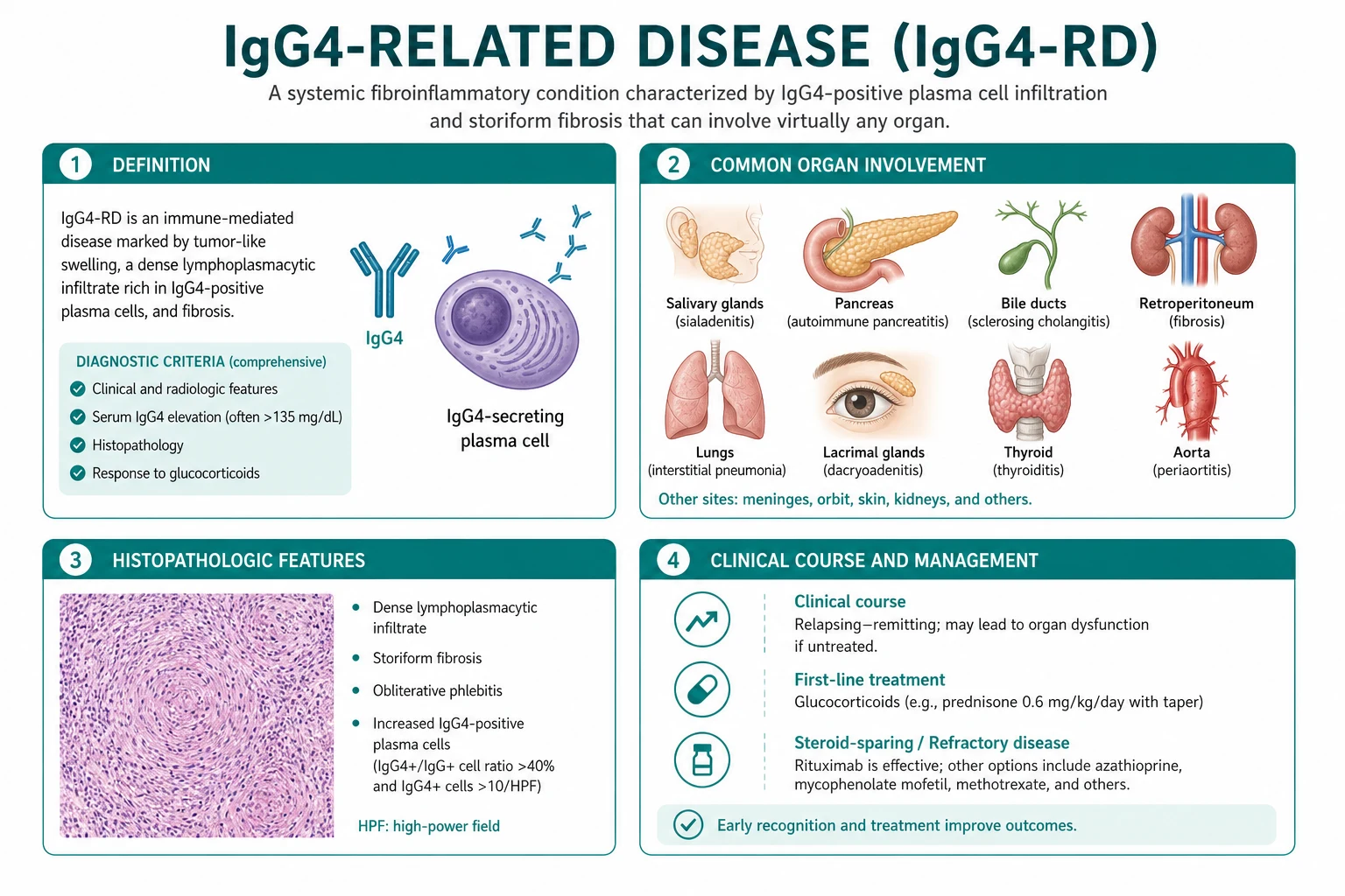 Classification for igg4 related disease