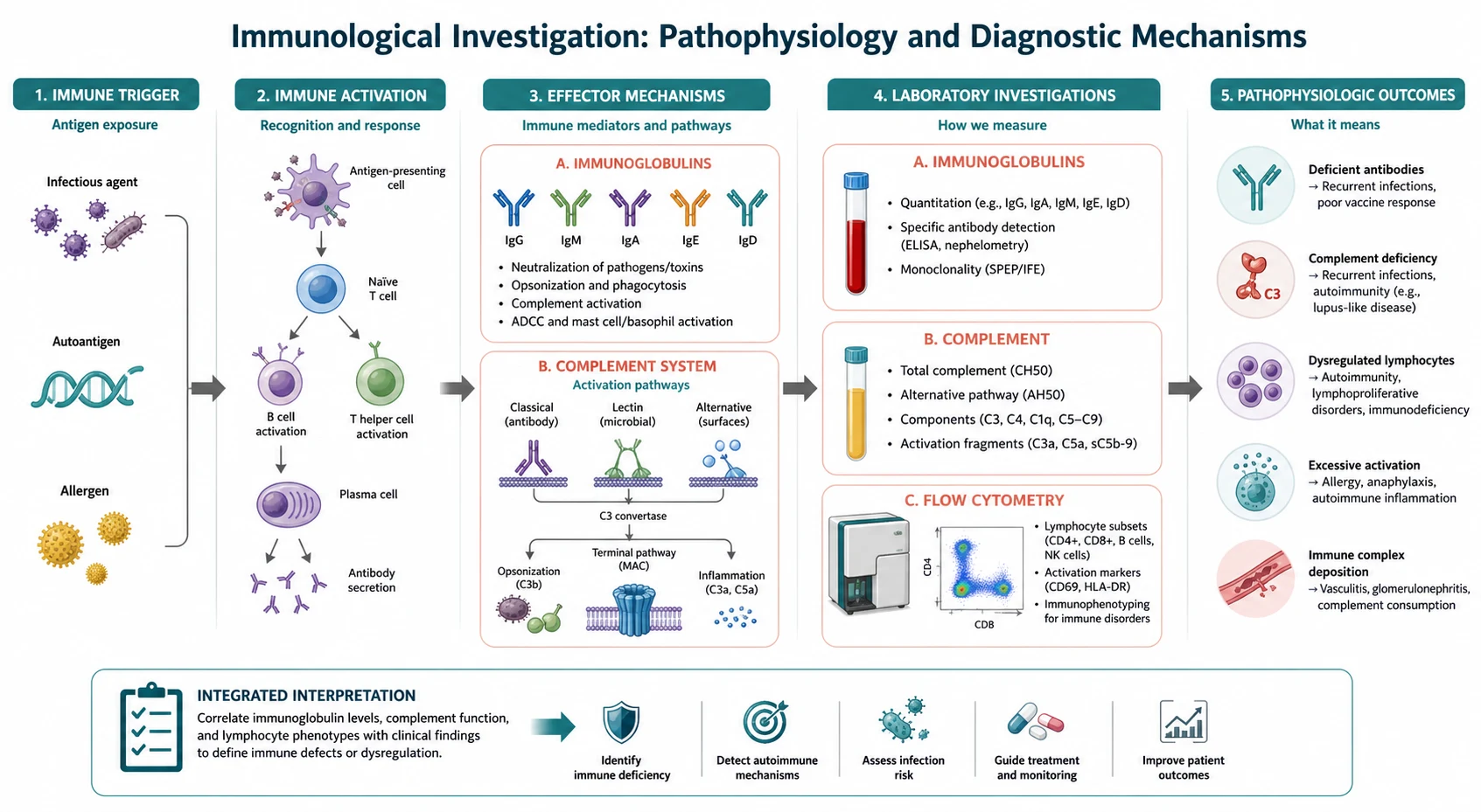 Pathophysiology mechanism diagram for Immunological Investigation Immunoglobulins Complement Flow Cytometry.