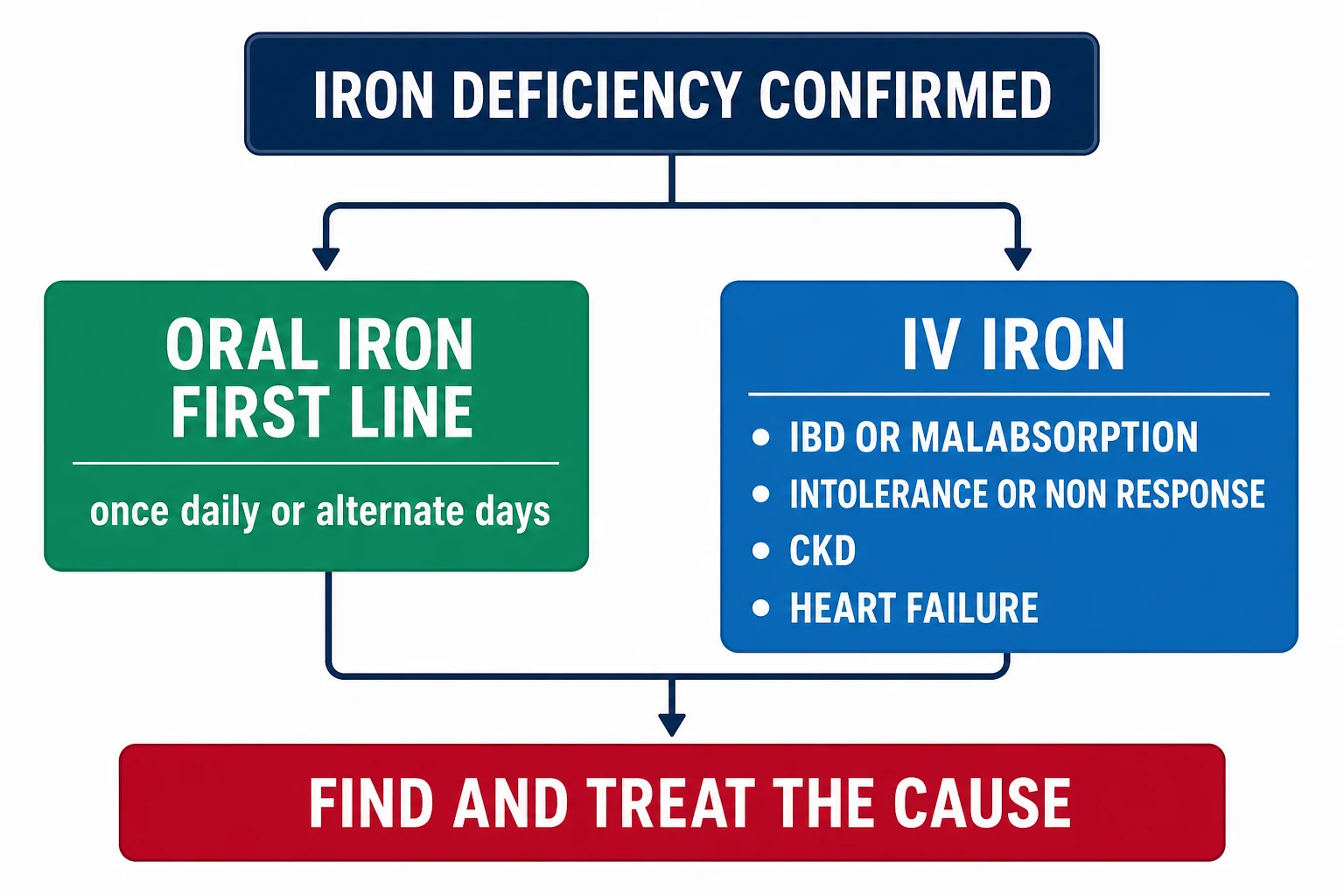 Decision algorithm — oral iron first line; IV iron for malabsorption, intolerance, CKD and heart failure; and always find the cause