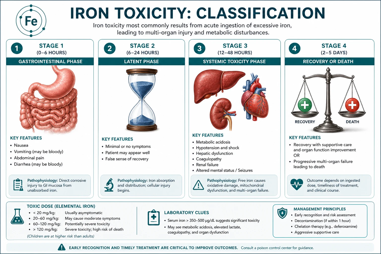 Classification diagram for Iron Toxicity.