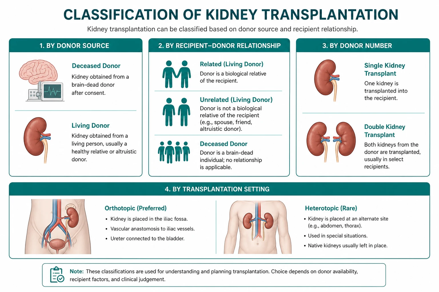 Classification for kidney transplantation