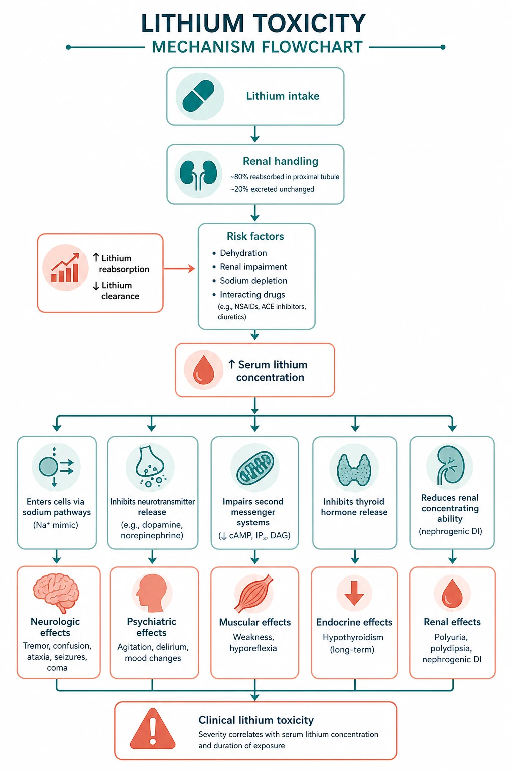Pathophysiology for lithium toxicity