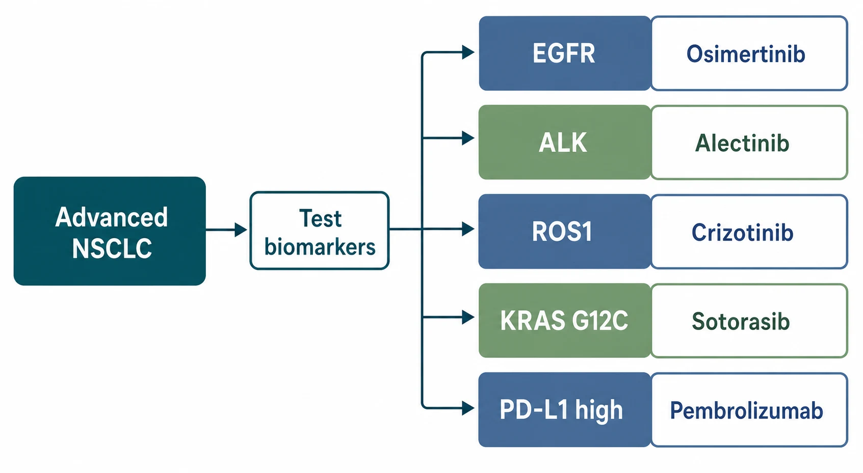 Biomarker-directed treatment of advanced NSCLC: EGFR osimertinib, ALK alectinib, ROS1 crizotinib, KRAS G12C sotorasib, PD-L1 high pembrolizumab