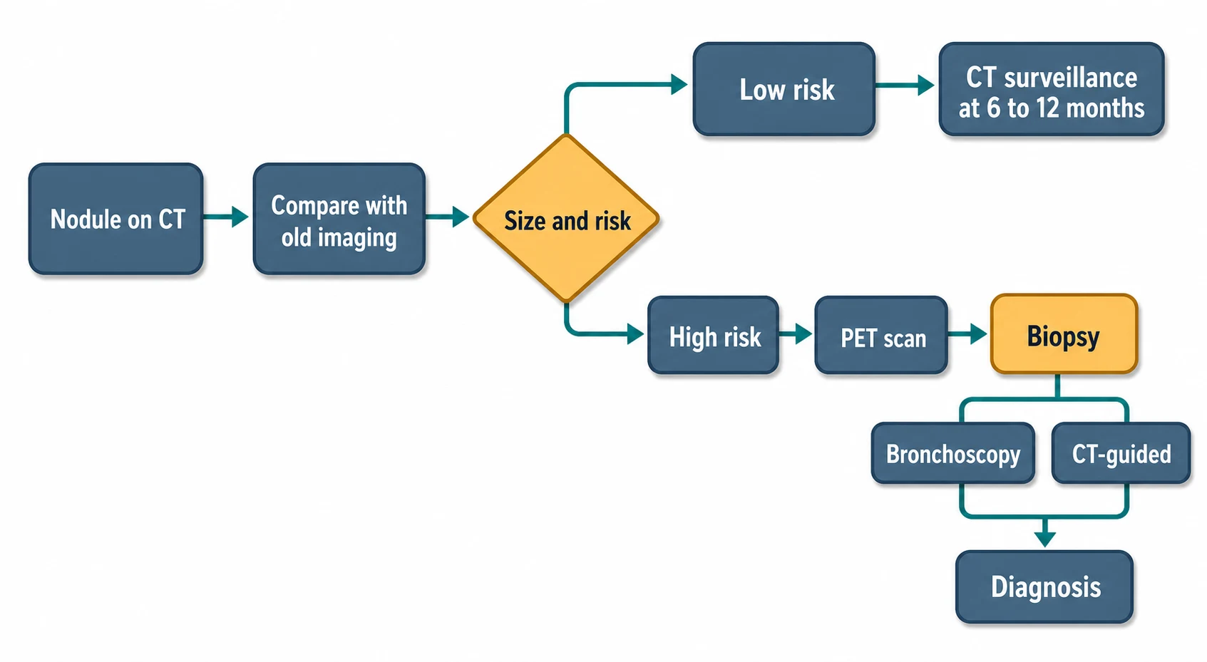 Flowchart for solitary pulmonary nodule workup: CT detection, risk assessment, surveillance versus PET versus biopsy