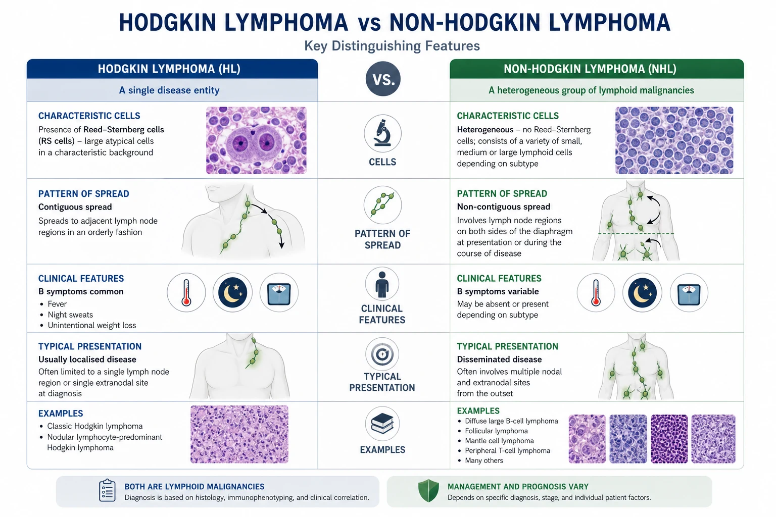 Hodgkin versus non-Hodgkin lymphoma — clinical and histological comparison table