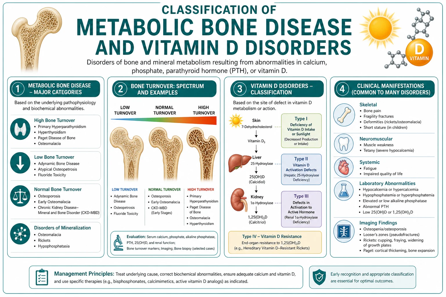 Classification diagram for Metabolic Bone Disease AND Vitamin D Disorders.