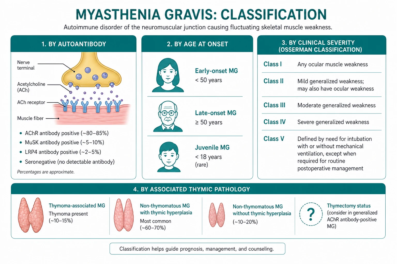 Classification for myasthenia gravis