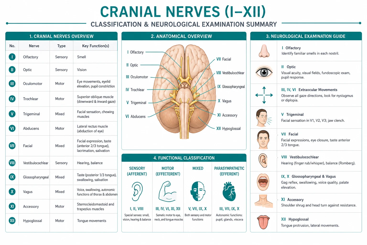 Classification for neurological examination cranial nerves