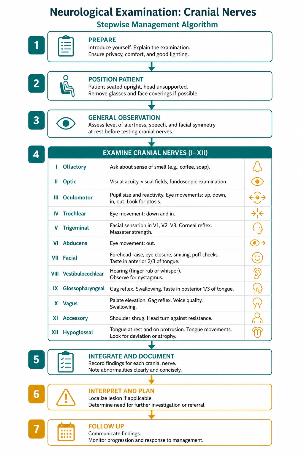 Management for neurological examination cranial nerves