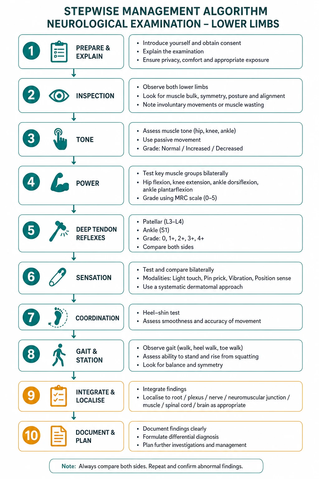 Management for neurological examination lower limbs