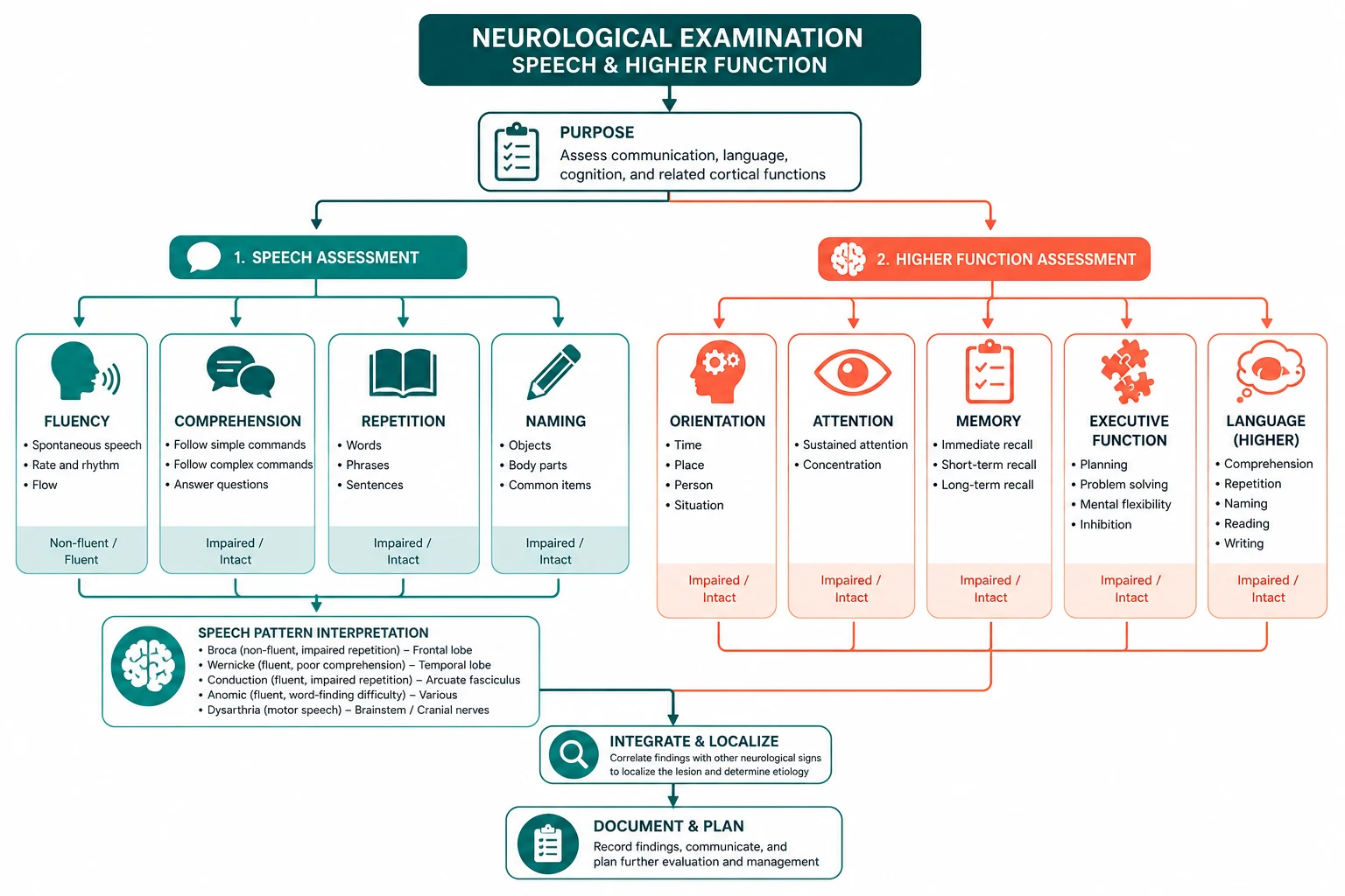 Pathophysiology for neurological examination speech and higher function