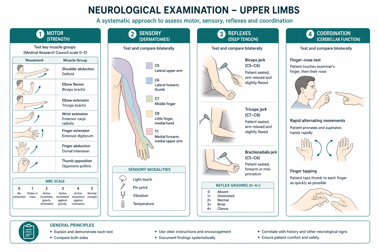 Classification for neurological examination upper limbs