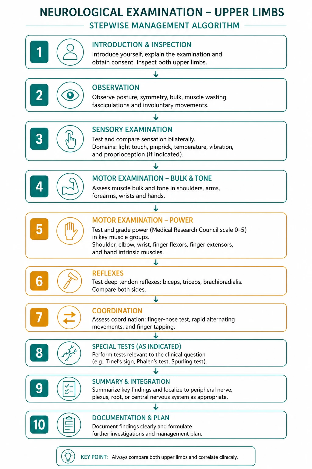 Management for neurological examination upper limbs