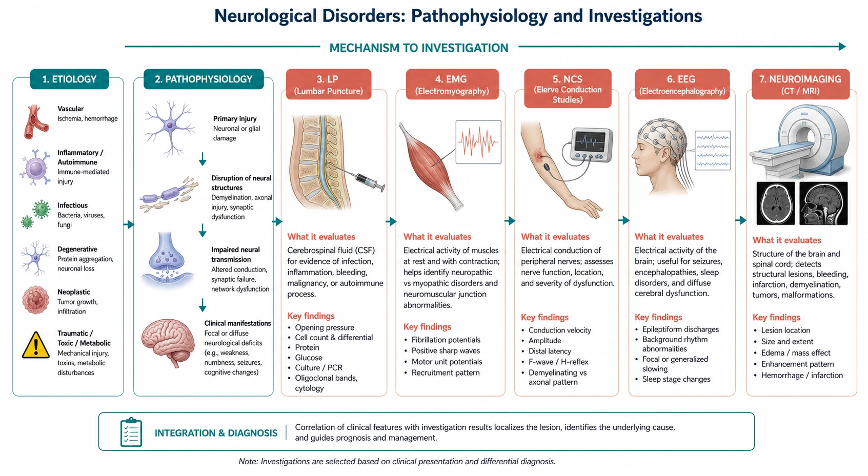 Pathophysiology mechanism diagram for Neurological Investigation LP EMG NCS EEG Neuroimaging.