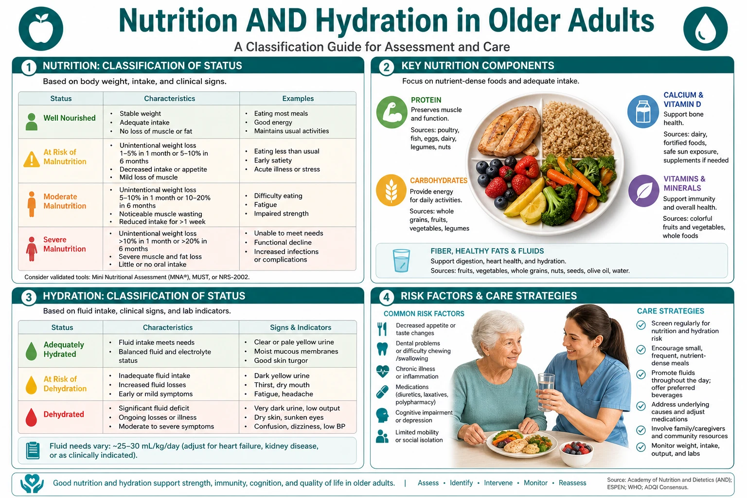 Classification diagram for Nutrition AND Hydration IN Older Adults.