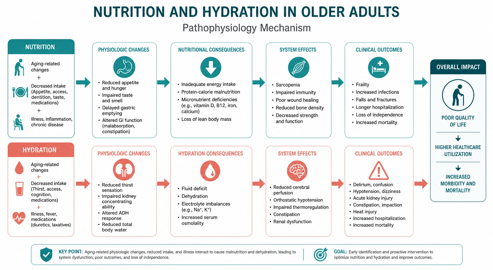 Pathophysiology mechanism diagram for Nutrition AND Hydration IN Older Adults.