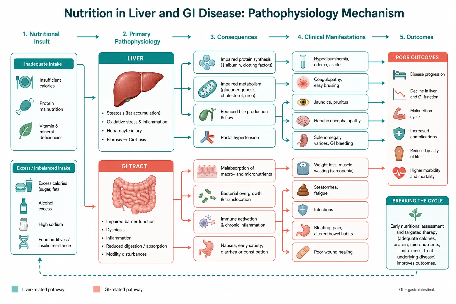 Pathophysiology mechanism diagram for Nutrition IN Liver AND GI Disease.