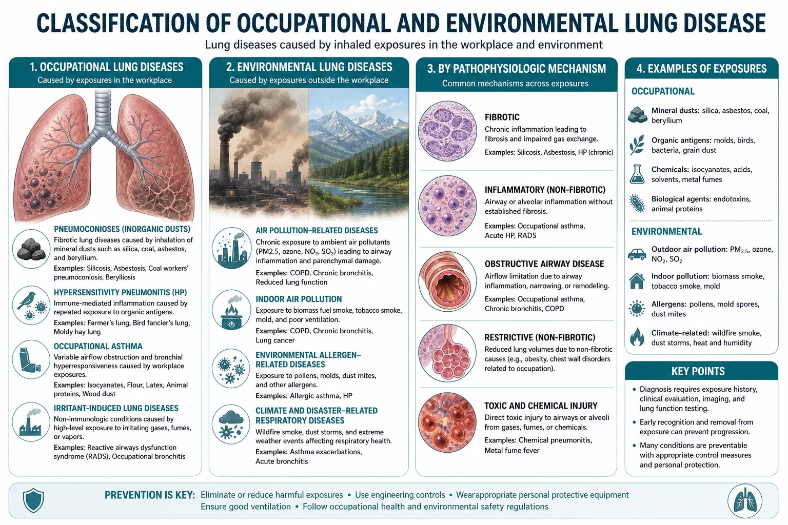 Classification diagram for Occupational AND Environmental Lung Disease.