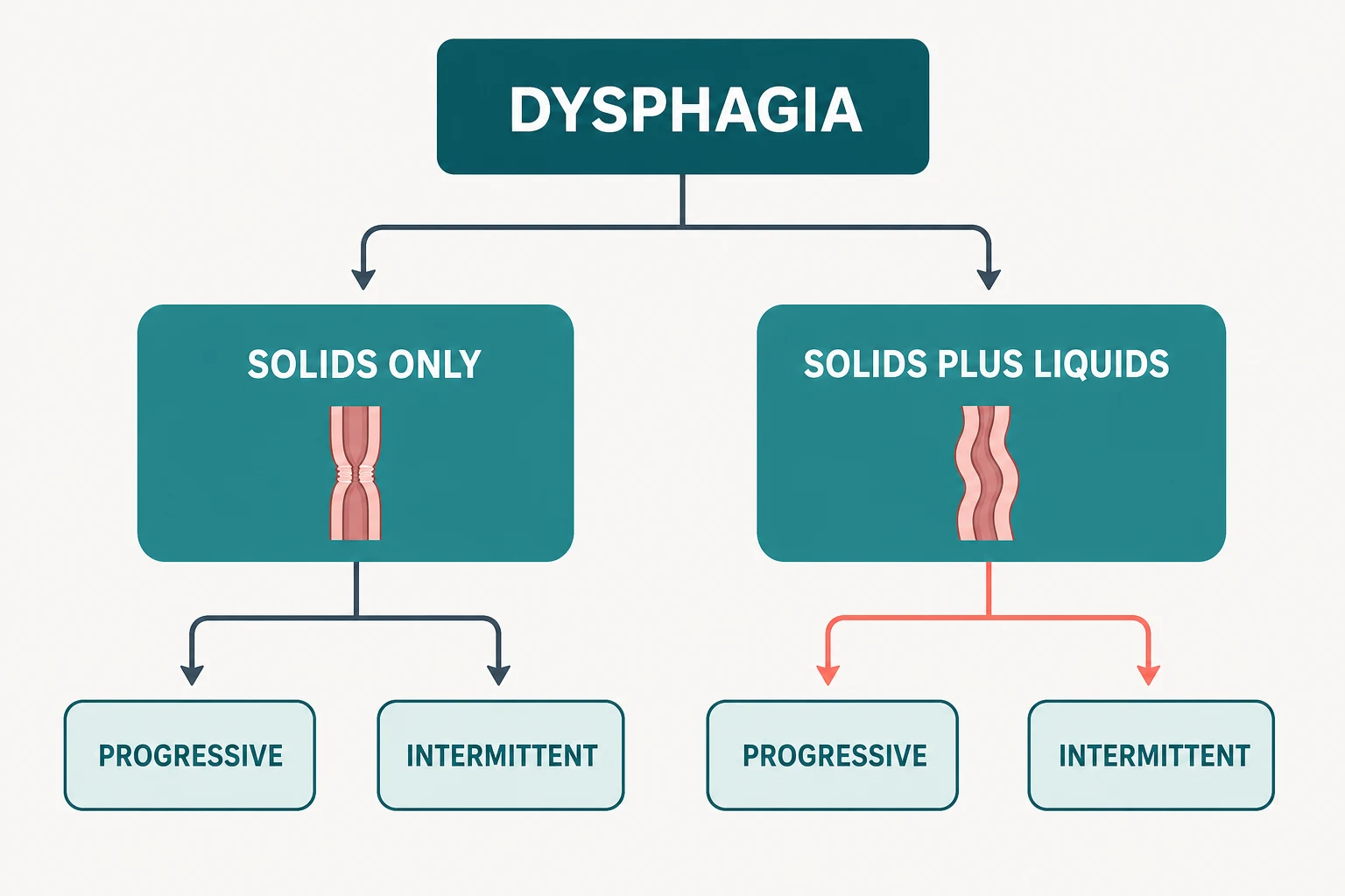 Diagnostic framework for dysphagia: solids-only versus solids-and-liquids, progressive versus intermittent