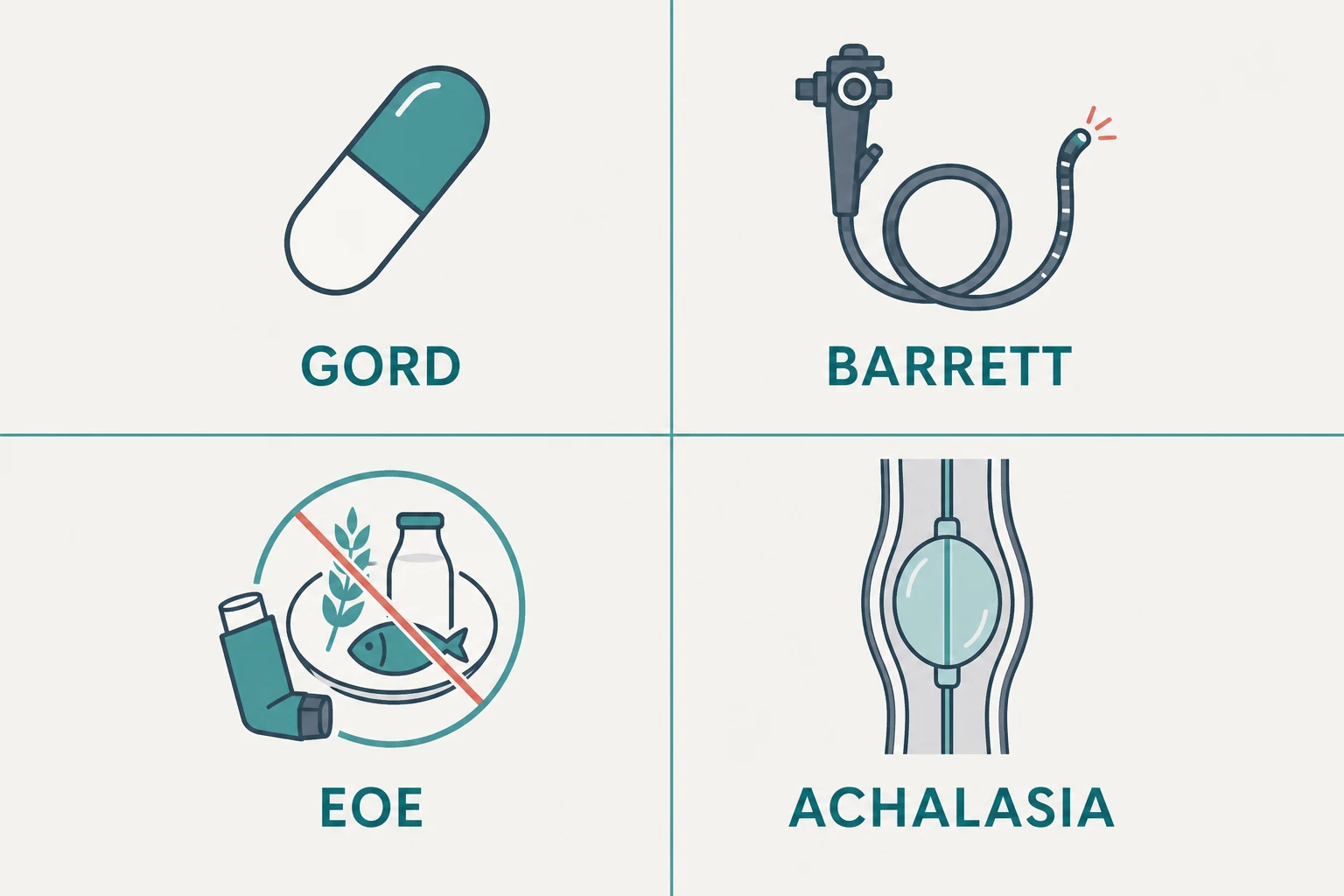 Management-by-diagnosis panel: GORD, Barrett's, EoE and achalasia treatments