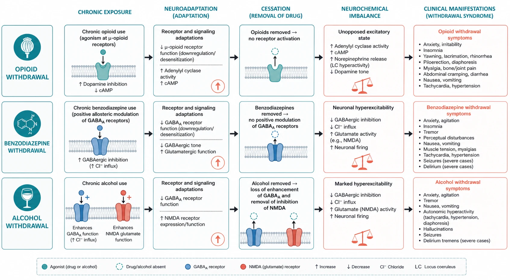 Pathophysiology mechanism diagram for Opioid Benzodiazepine AND Alcohol Withdrawal.