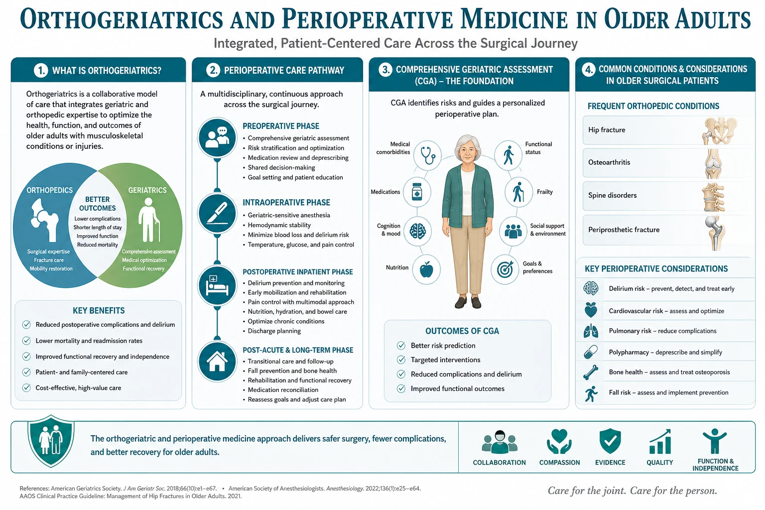 Classification diagram for Orthogeriatrics AND Perioperative Medicine IN Older Adults.