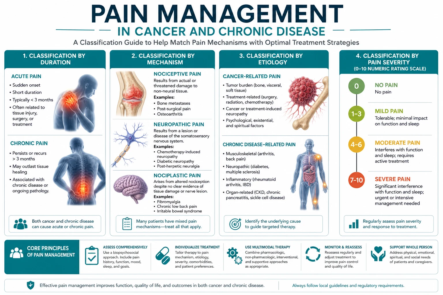 Classification diagram for Pain Management IN Cancer AND Chronic Disease.