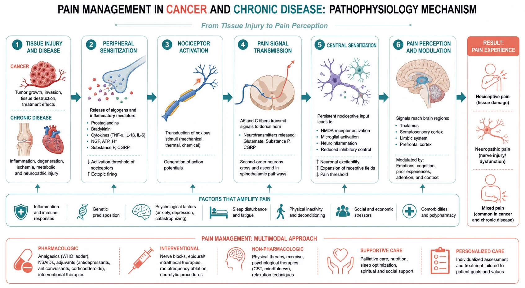 Pathophysiology mechanism diagram for Pain Management IN Cancer AND Chronic Disease.