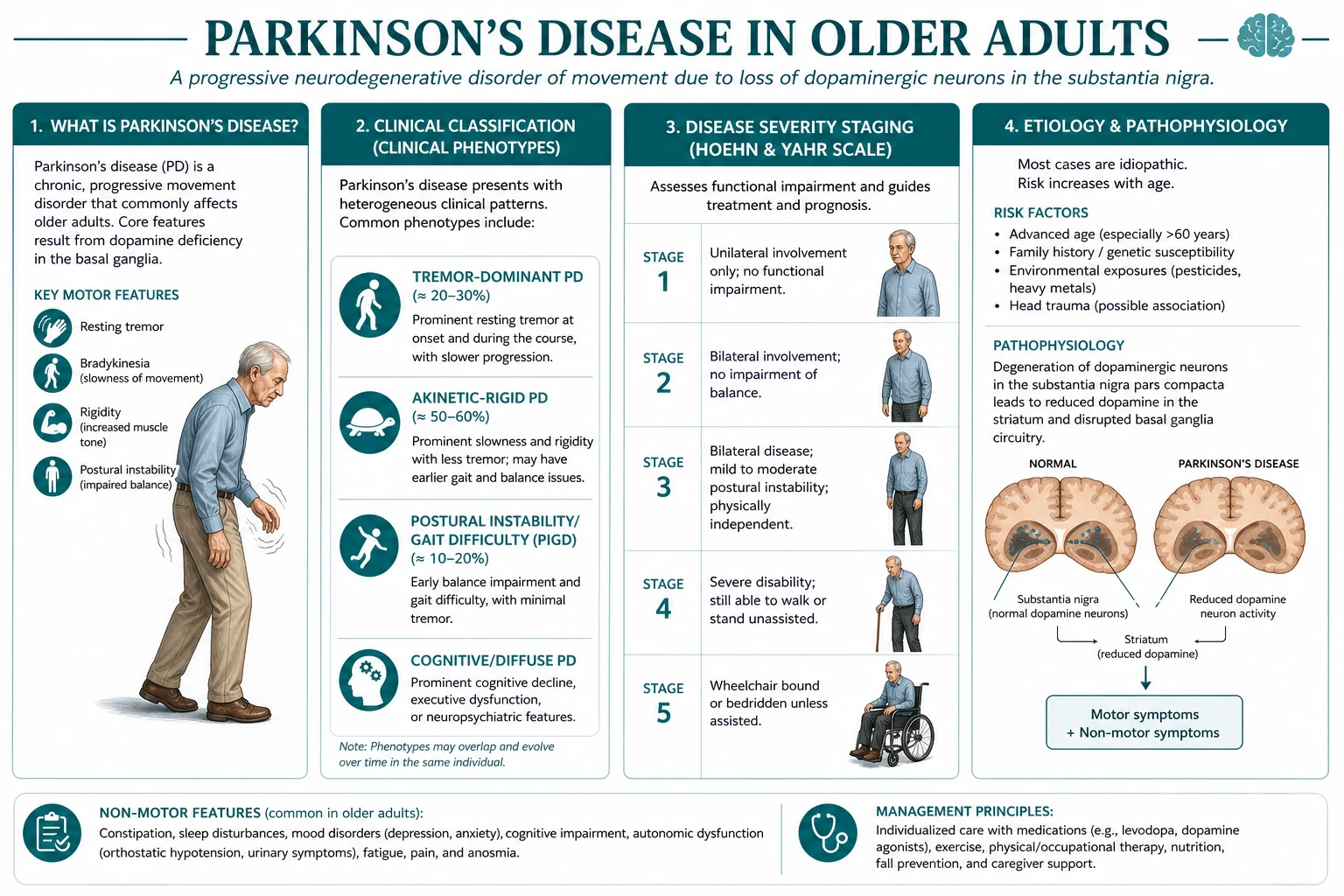 Classification diagram for Parkinson S Disease IN Older Adults.