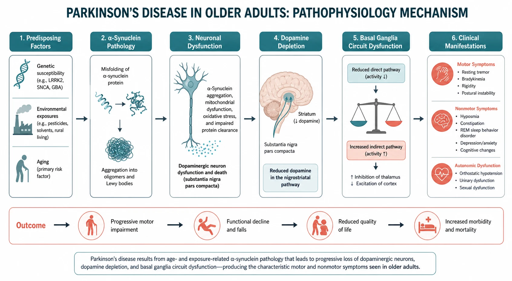 Pathophysiology mechanism diagram for Parkinson S Disease IN Older Adults.