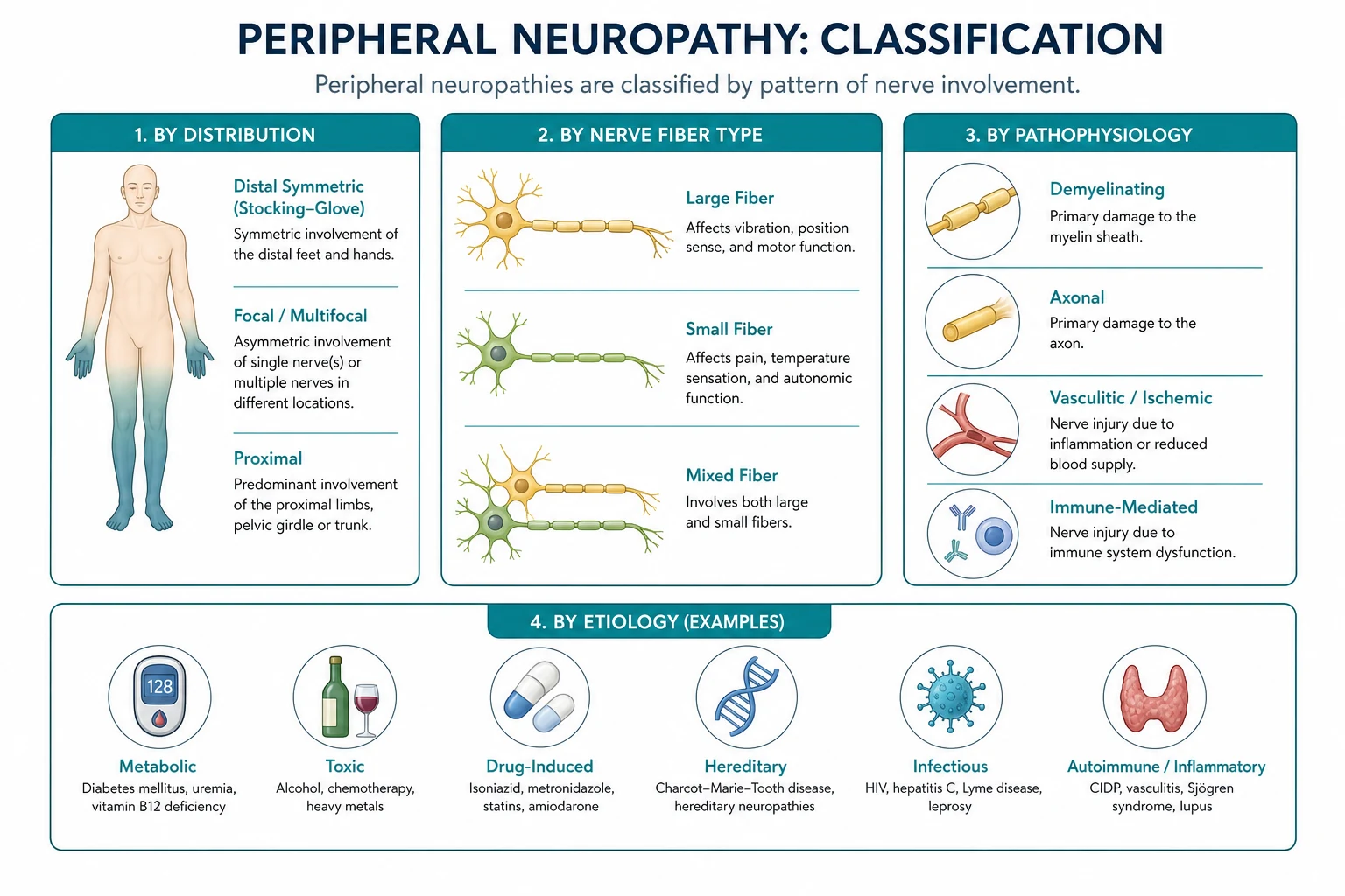 Classification of peripheral neuropathy