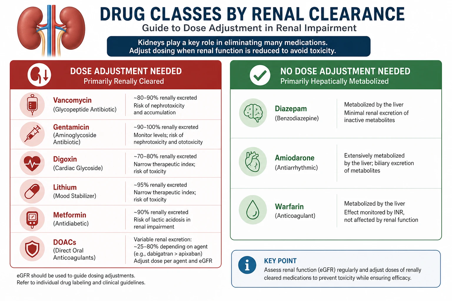 Renal dosing guide — drug classes stratified by clearance route: renally-cleared water-soluble drugs versus hepatically-cleared lipid-soluble drugs