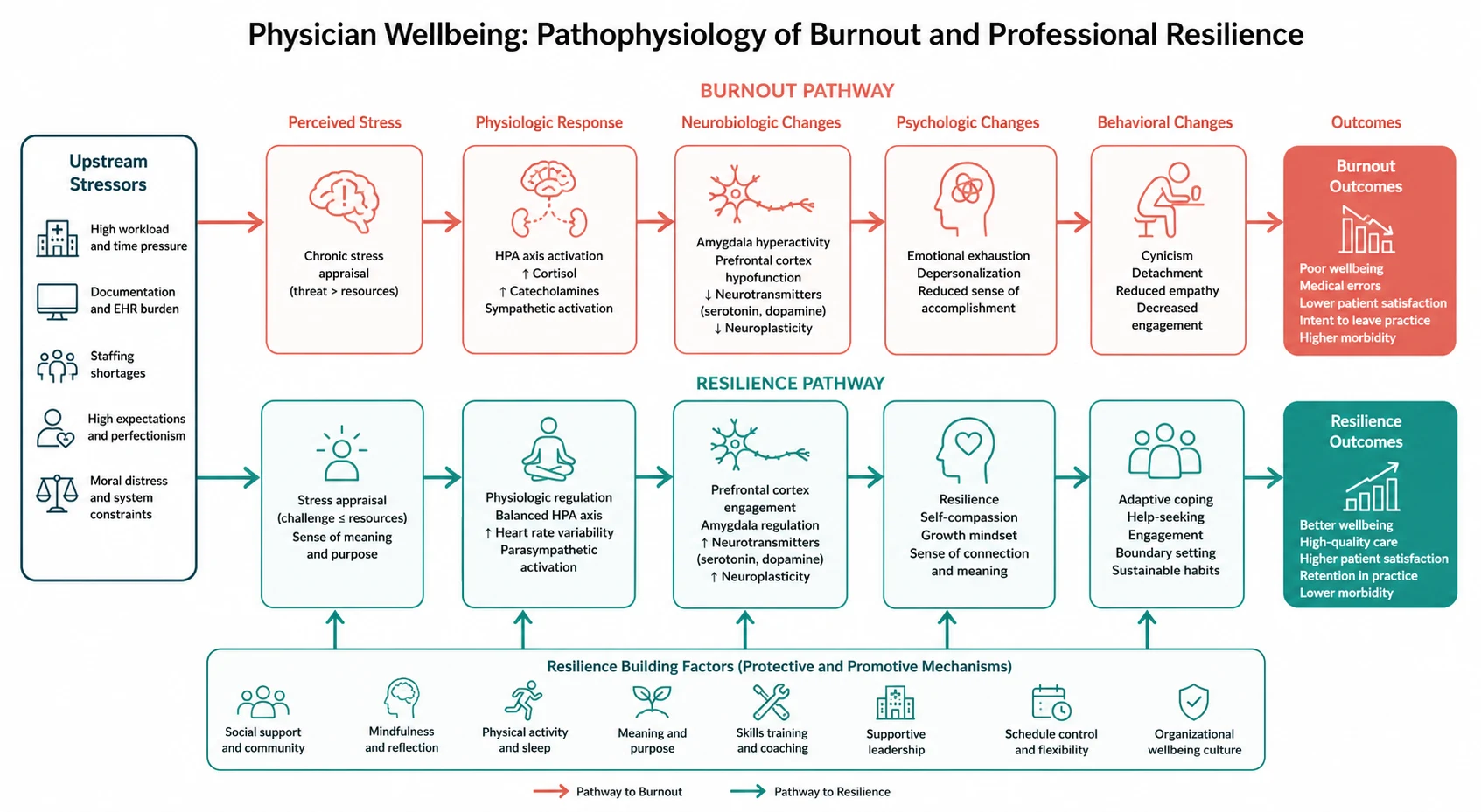 Pathophysiology mechanism diagram for Physician Wellbeing Burnout AND Professional Resilience.