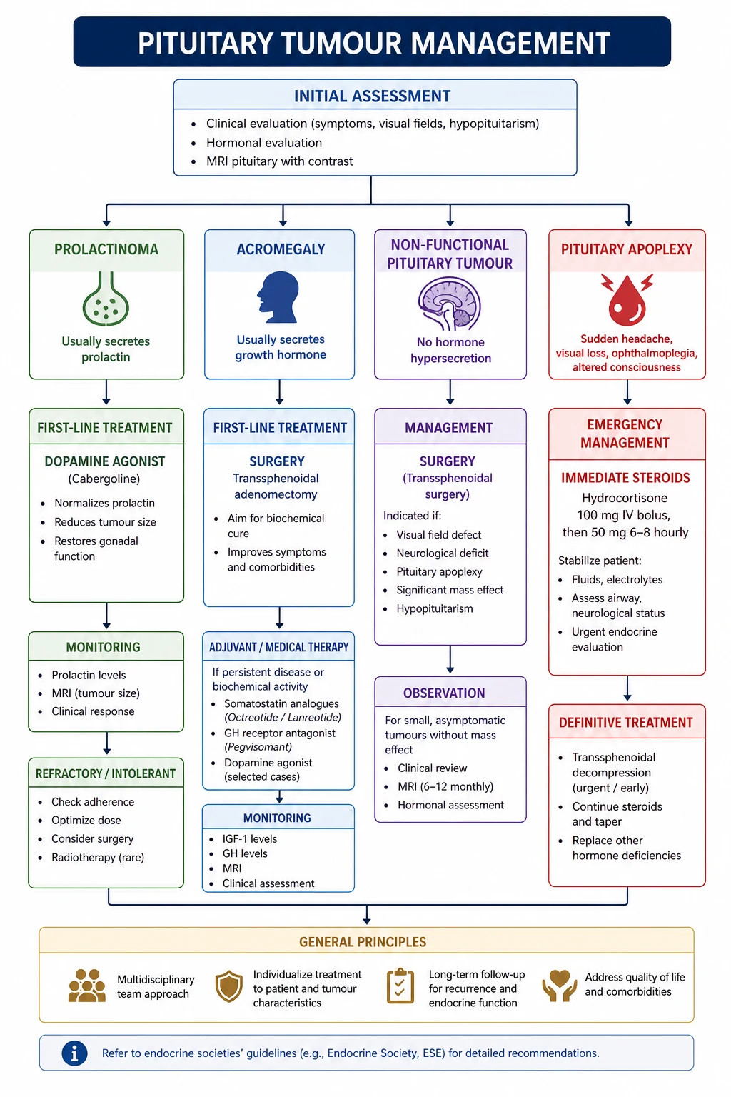 Pituitary apoplexy management algorithm — emergency hydrocortisone first, MRI for diagnosis, surgical decompression for visual compromise