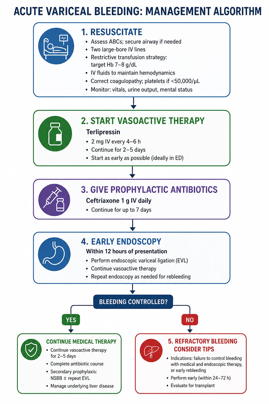 Acute variceal bleeding management algorithm