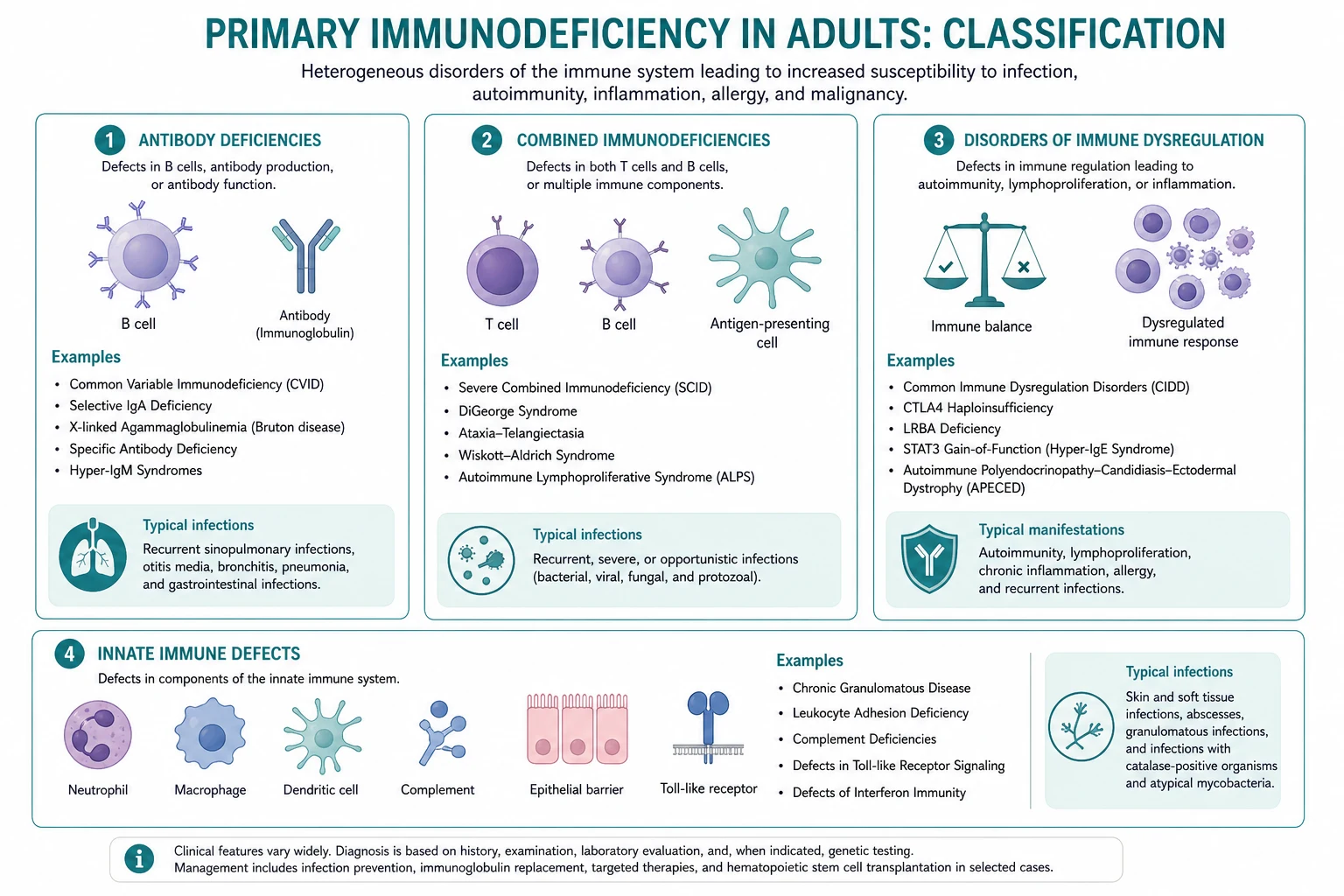 Classification of primary immunodeficiency adults
