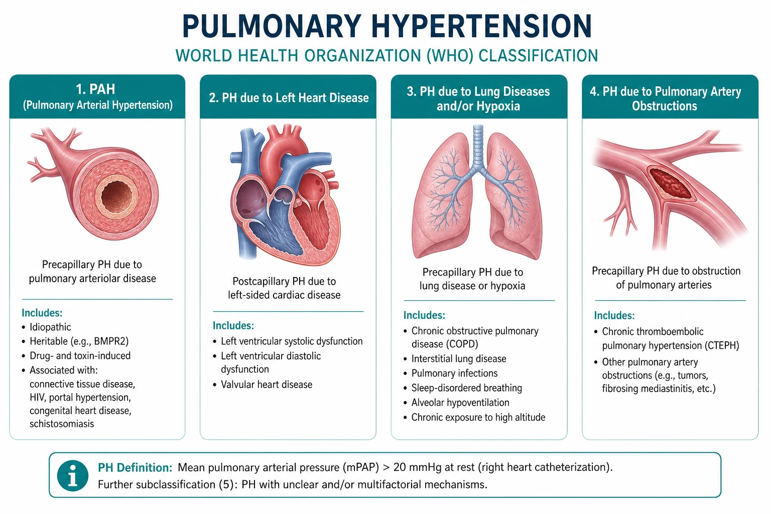 Classification for pulmonary hypertension