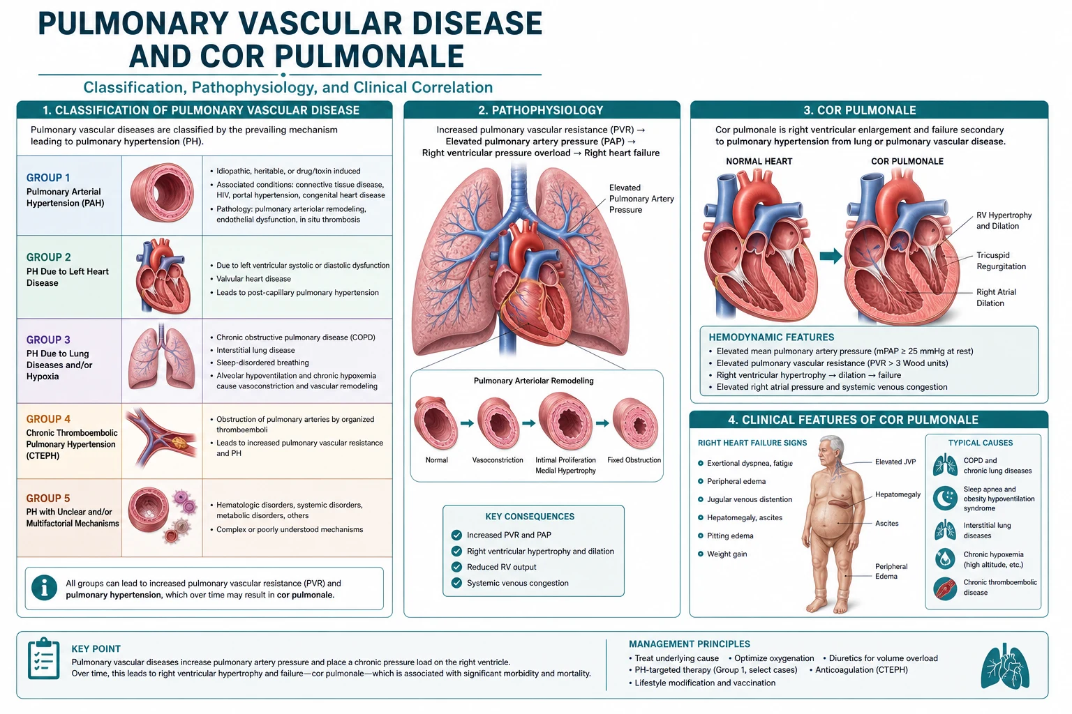 Classification diagram for Pulmonary Vascular Disease AND COR Pulmonale.